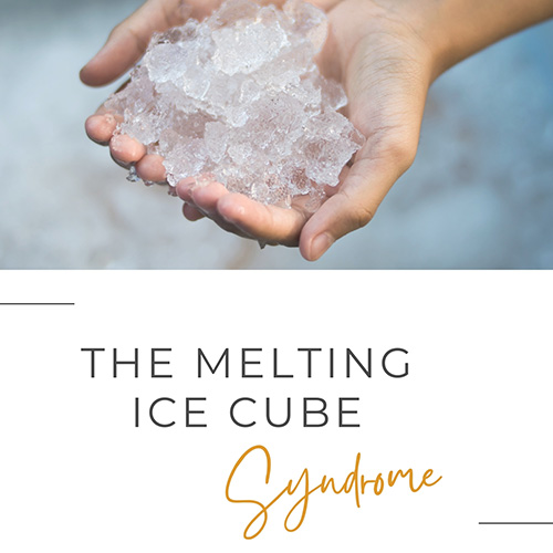 The Melting Ice Syndrome Cover
